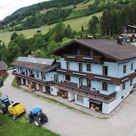 Spacious Apartment With Close To Skiing Points Mittersill Kültér fotó
